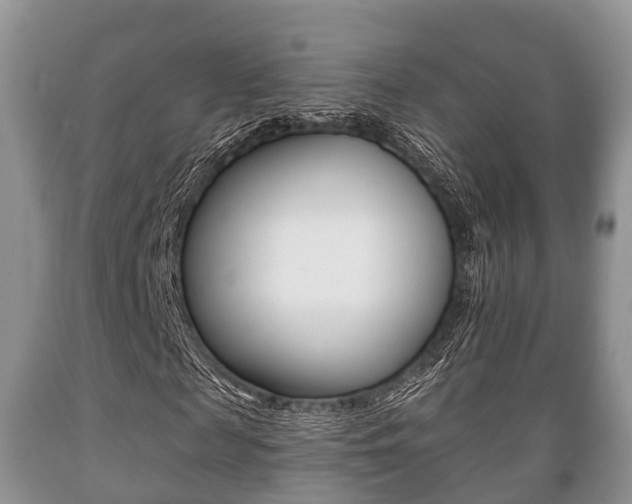 X0000089760817200706210952
