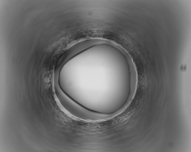 X0000089760818200706210952