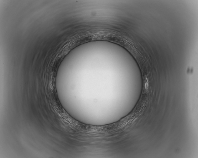 X0000089760819200706210952