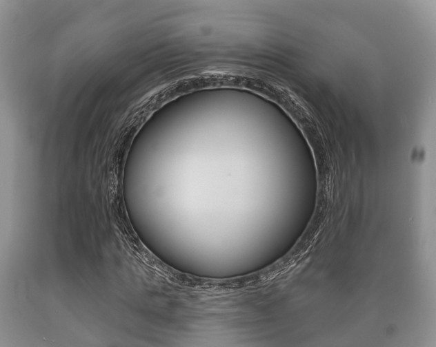 X0000089760821200706210952