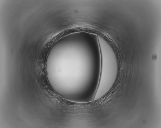 X0000089760822200706210952