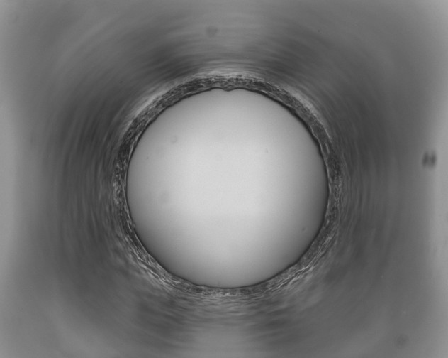 X0000089760823200706210952