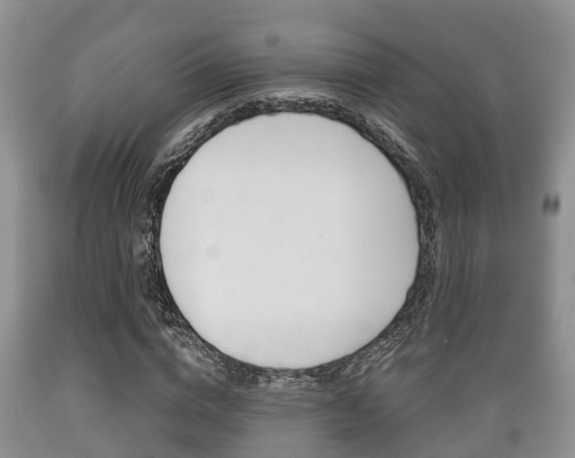 X0000089760824200706210952