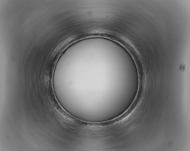X0000089760825200706210952
