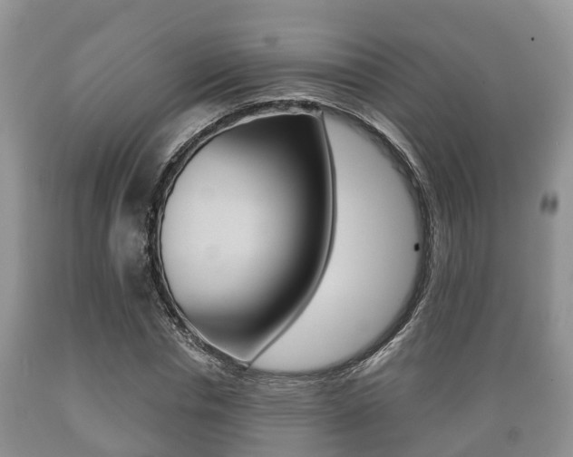 X0000089760826200706210952