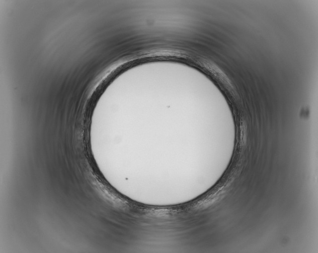 X0000089760828200706210952