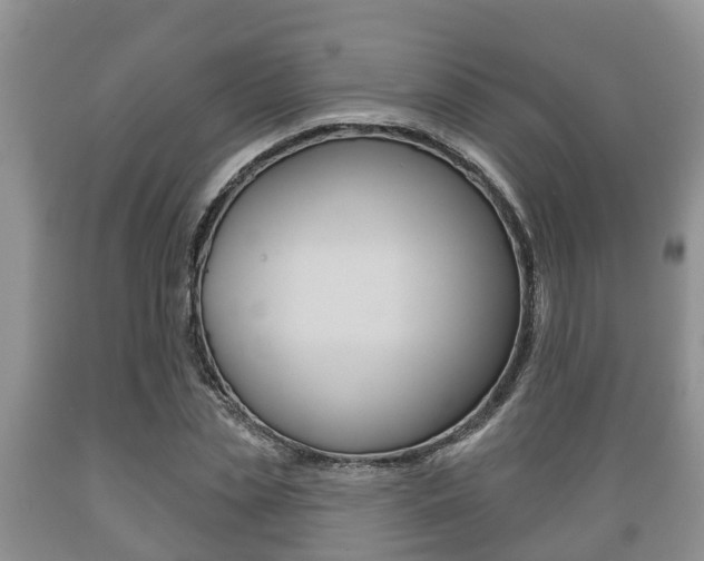 X0000089760829200706210952
