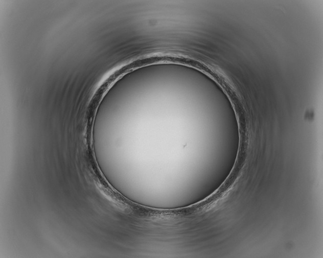 X0000089760830200706210952