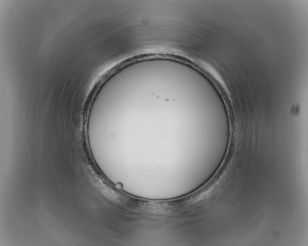 X0000089760831200706210952