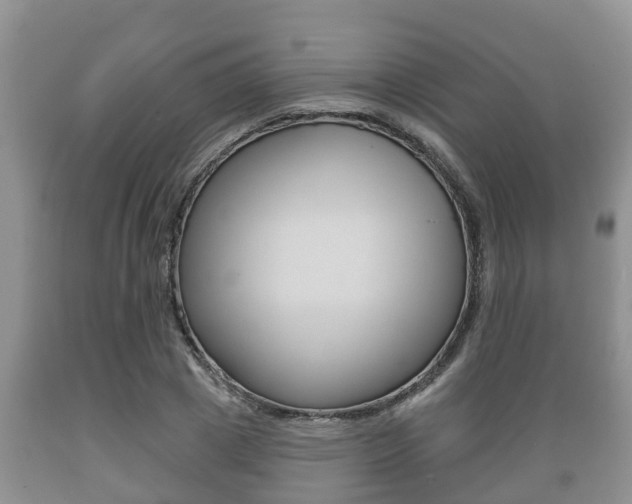 X0000089760833200706210952