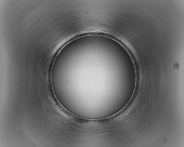 X0000089760834200706210952