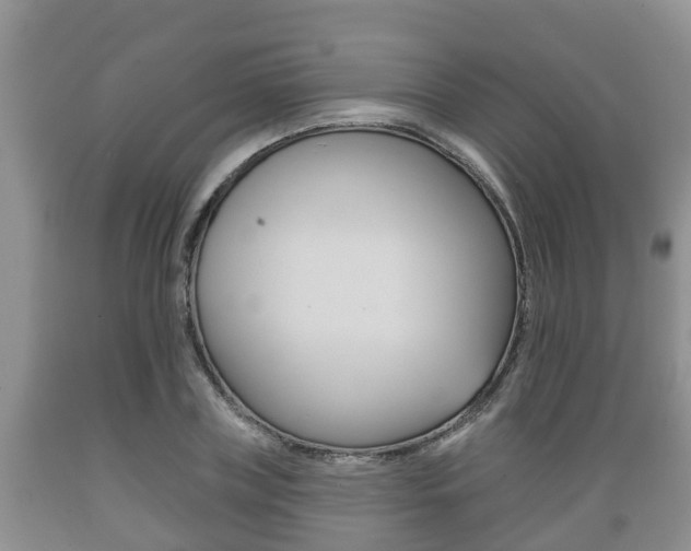 X0000089760835200706210952