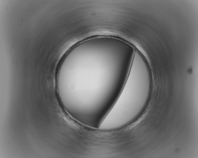 X0000089760837200706210952