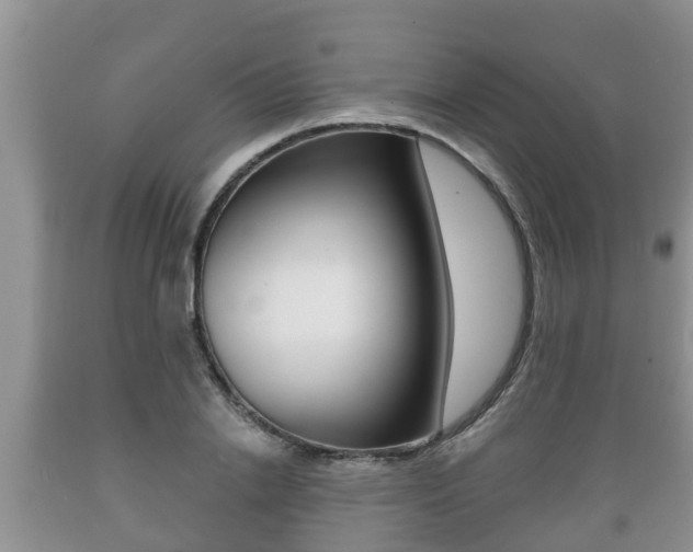 X0000089760838200706210952