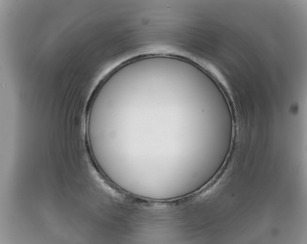 X0000089760839200706210952