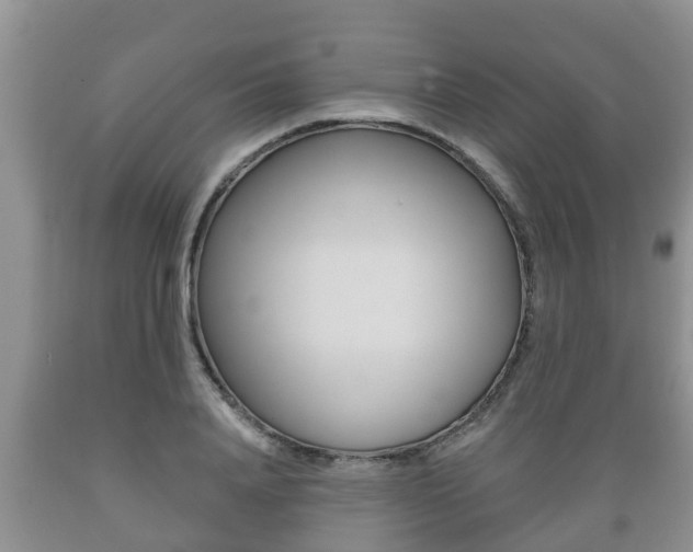 X0000089760840200706210952