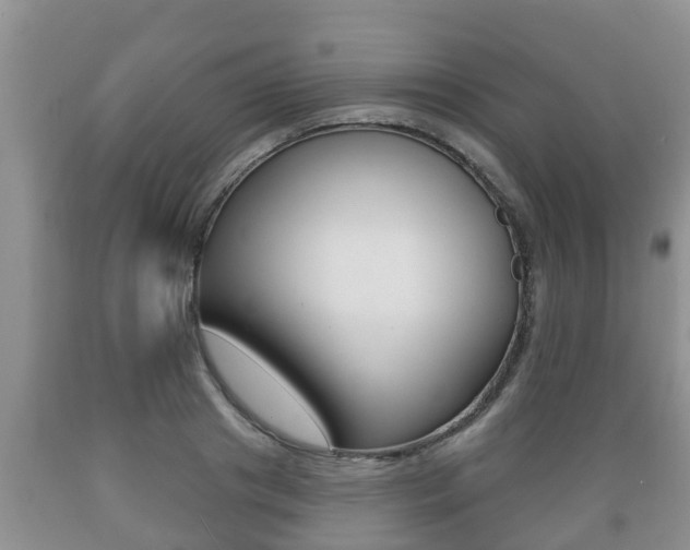 X0000089760841200706210952