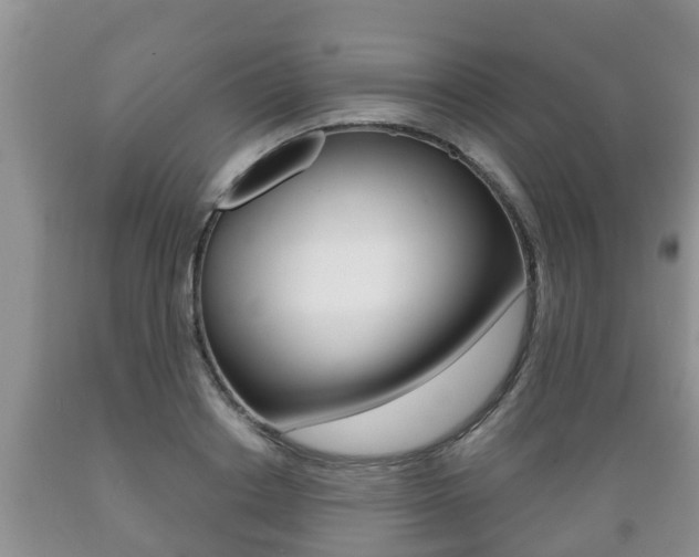 X0000089760842200706210952