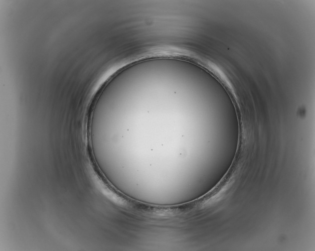 X0000089760843200706210952