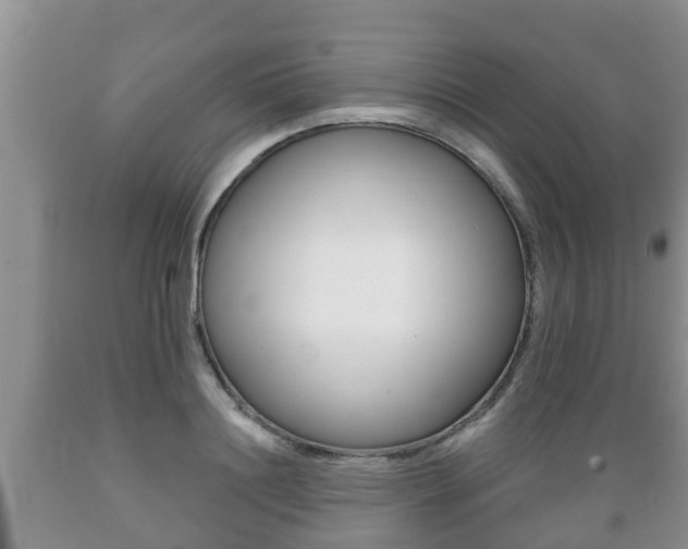 X0000089760844200706210953