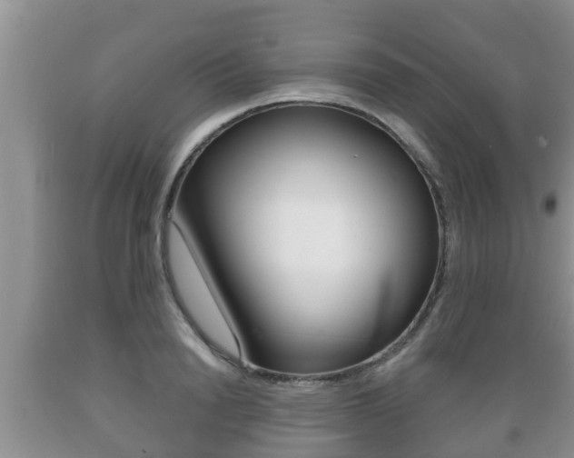 X0000089760846200706210953