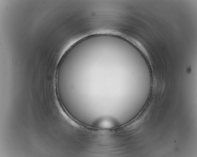 X0000089760847200706210953