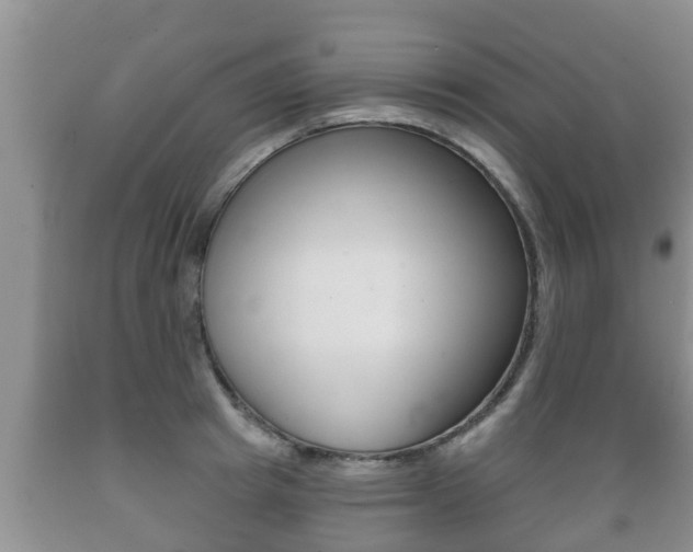 X0000089760849200706210953