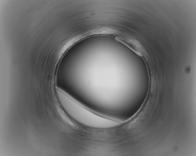 X0000089760850200706210953