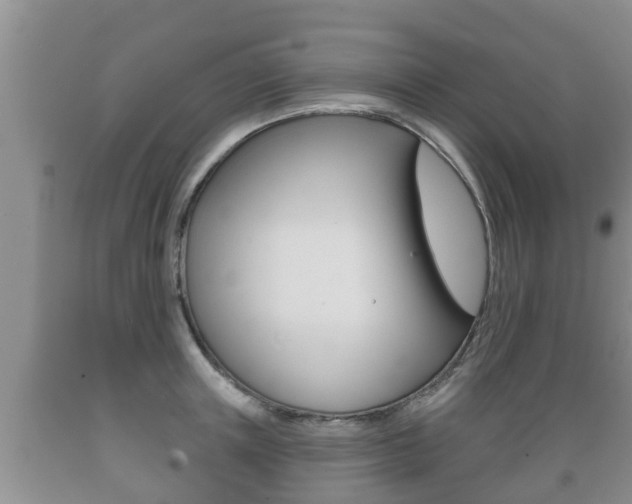 X0000089760851200706210953
