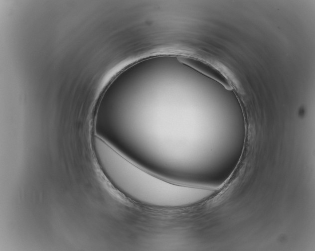 X0000089760854200706210953