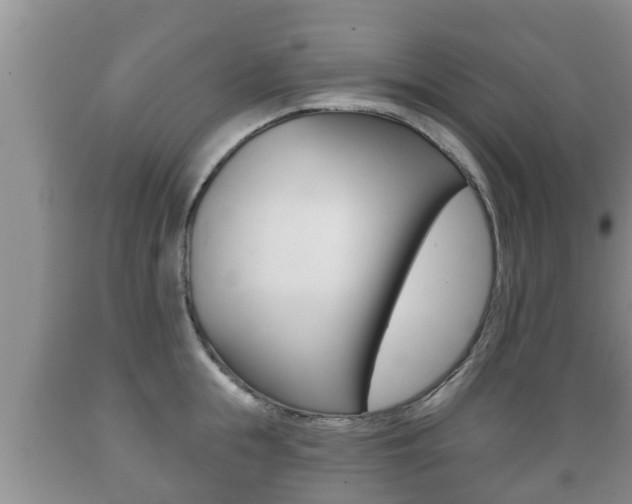 X0000089760855200706210953