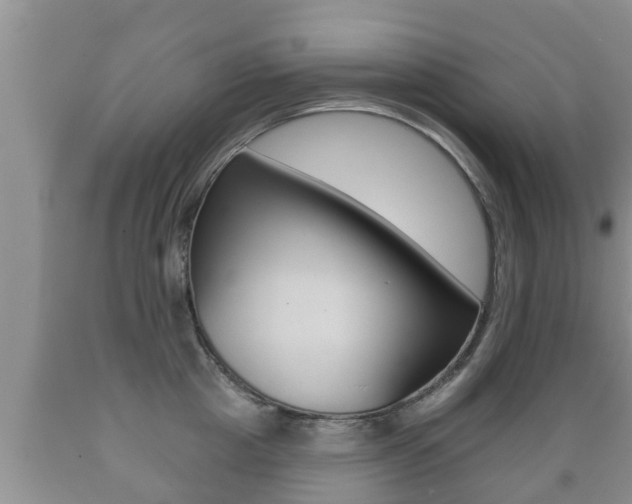 X0000089760857200706210953