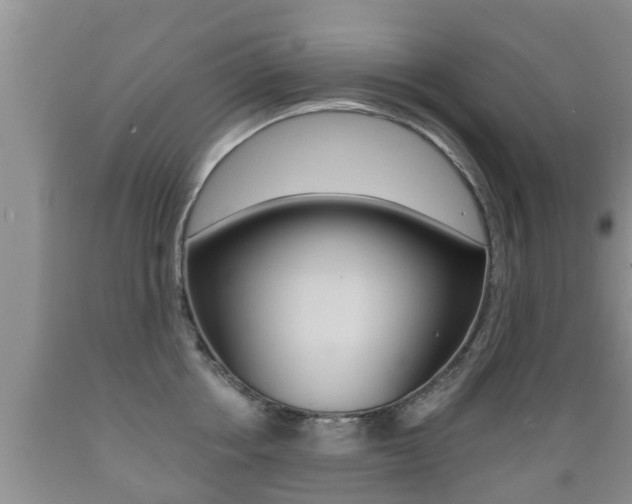 X0000089760858200706210953