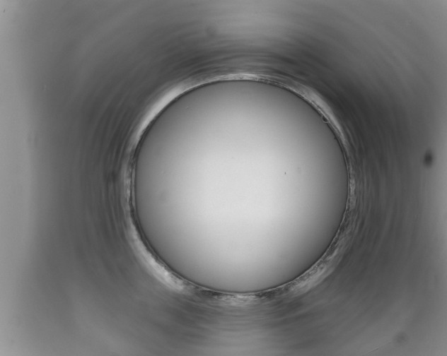 X0000089760859200706210953