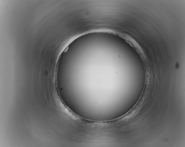 X0000089760860200706210953