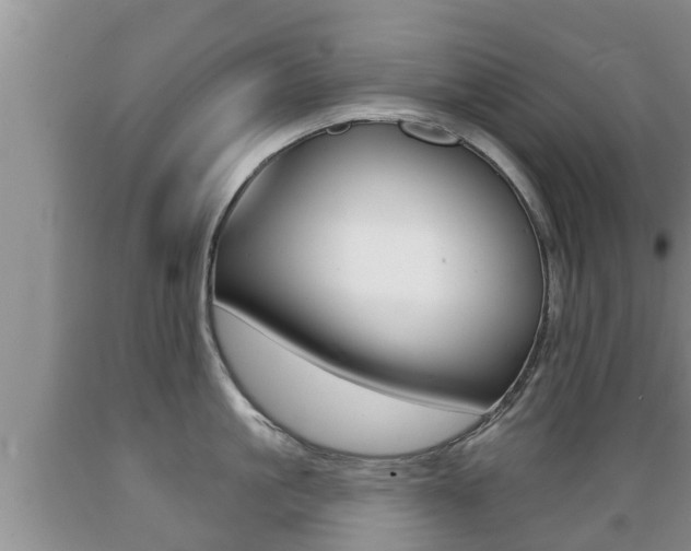 X0000089760861200706210953