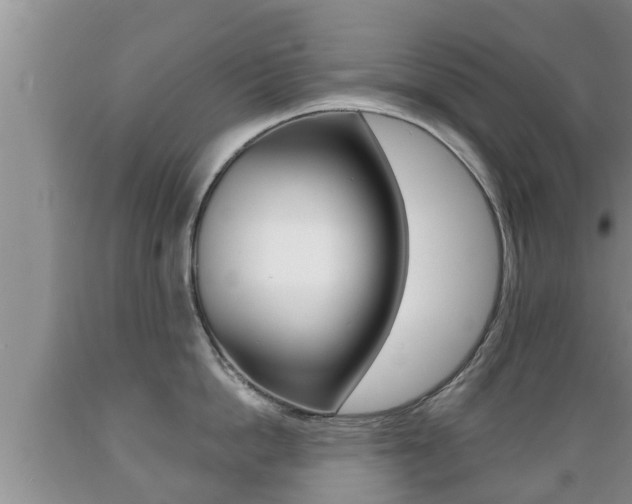 X0000089760862200706210953