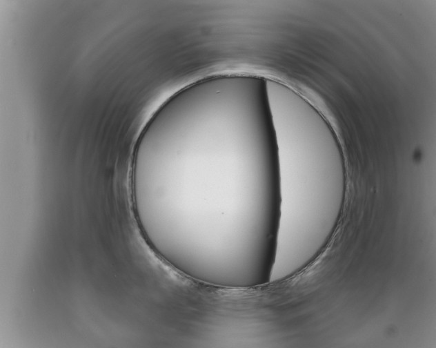 X0000089760863200706210953