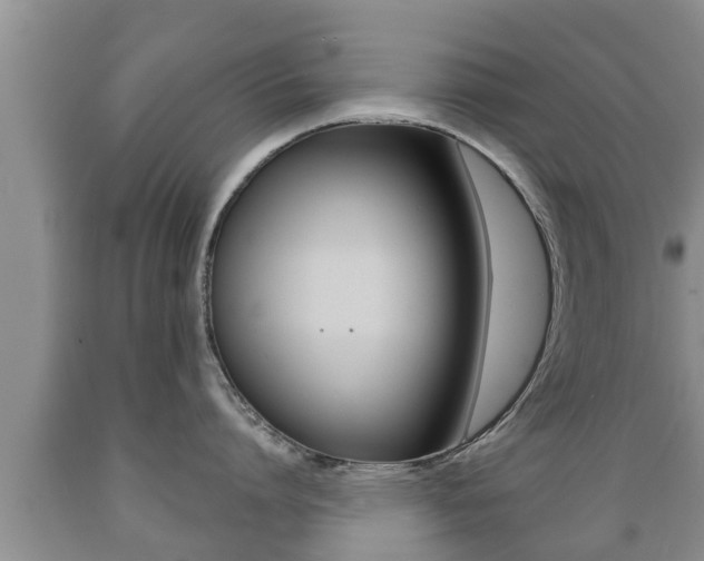 X0000089760864200706210953