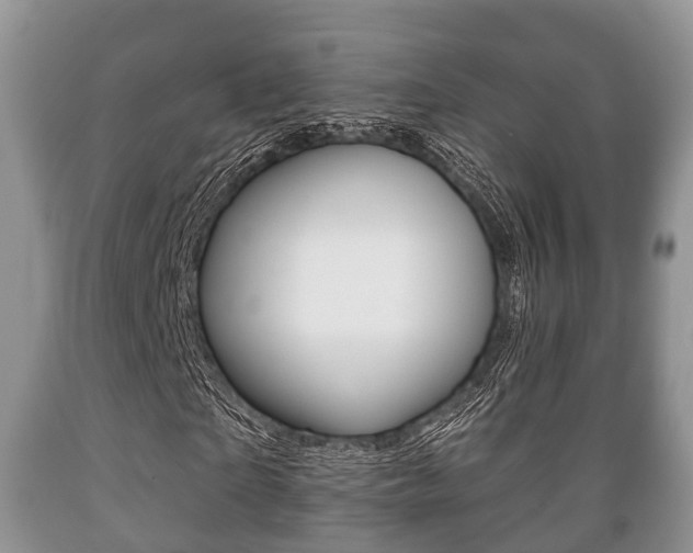 X0000089760865200706210952