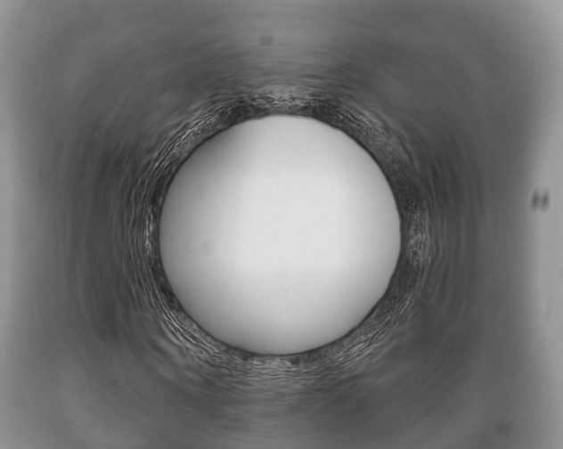 X0000089760866200706210952