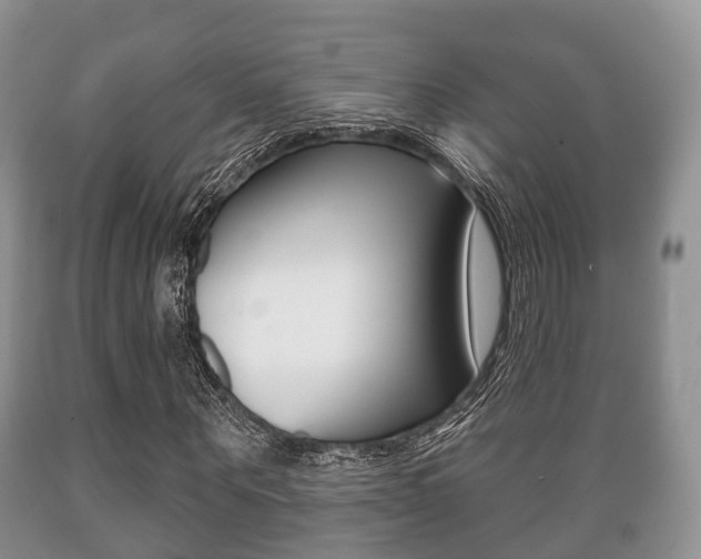 X0000089760867200706210952