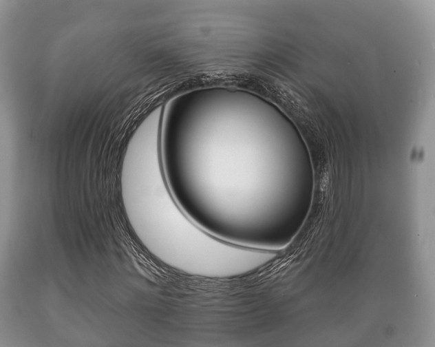 X0000089760868200706210952