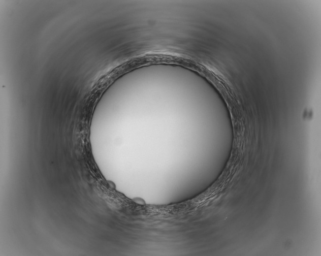 X0000089760870200706210952