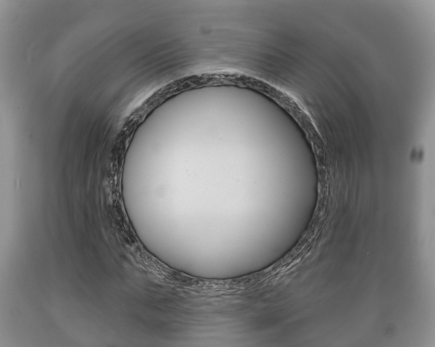 X0000089760871200706210952