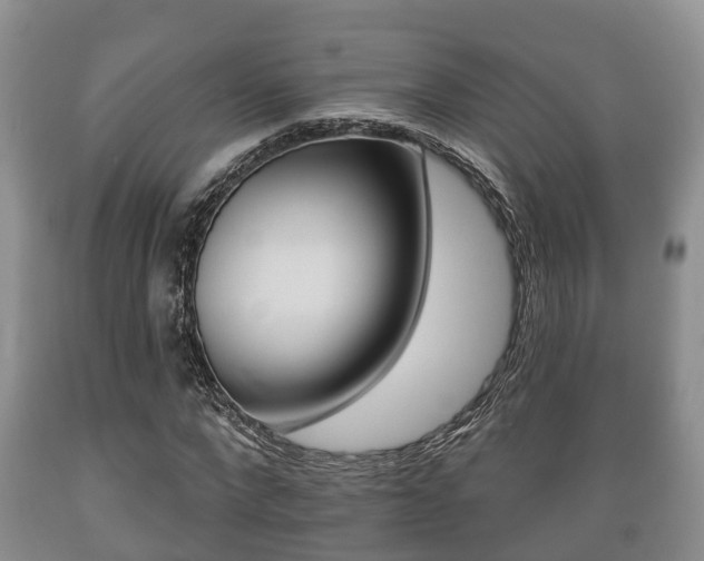 X0000089760872200706210952