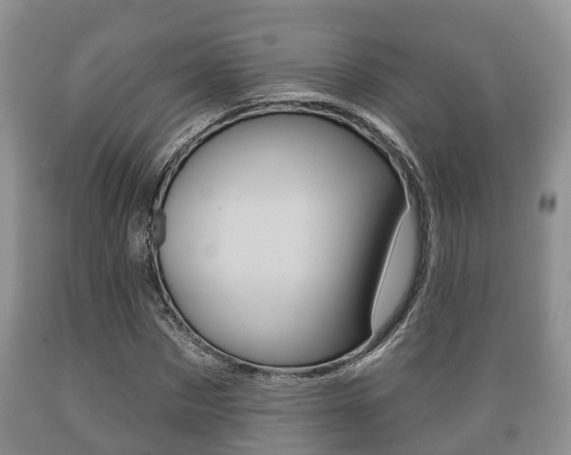 X0000089760873200706210952