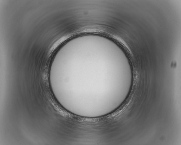 X0000089760874200706210952