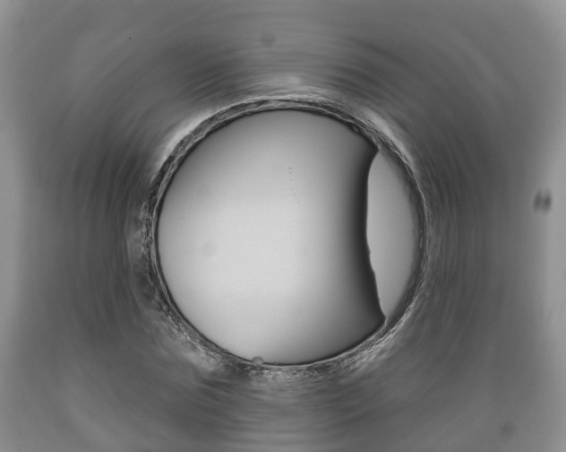 X0000089760875200706210952