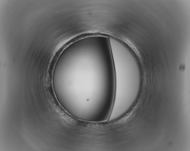 X0000089760876200706210952
